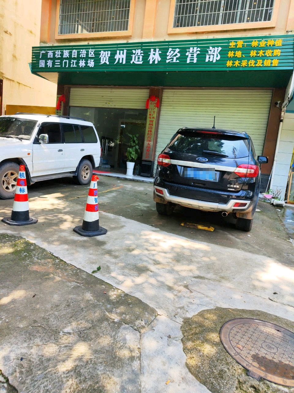 广西壮族自治区国有三门江林场贺州造林经营部