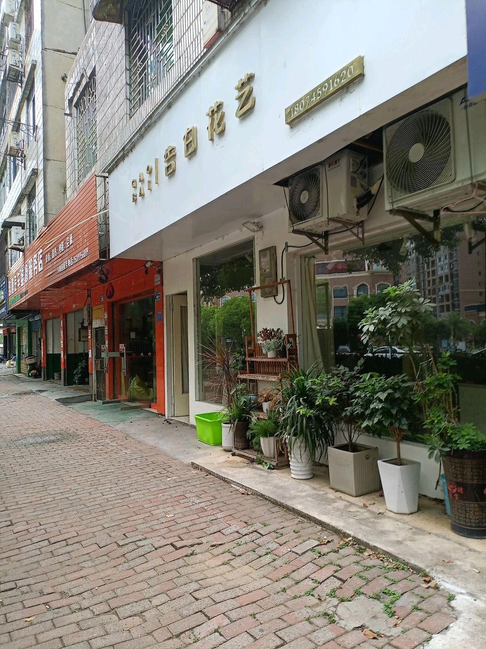 告白花艺(香洲水郡第3期店)