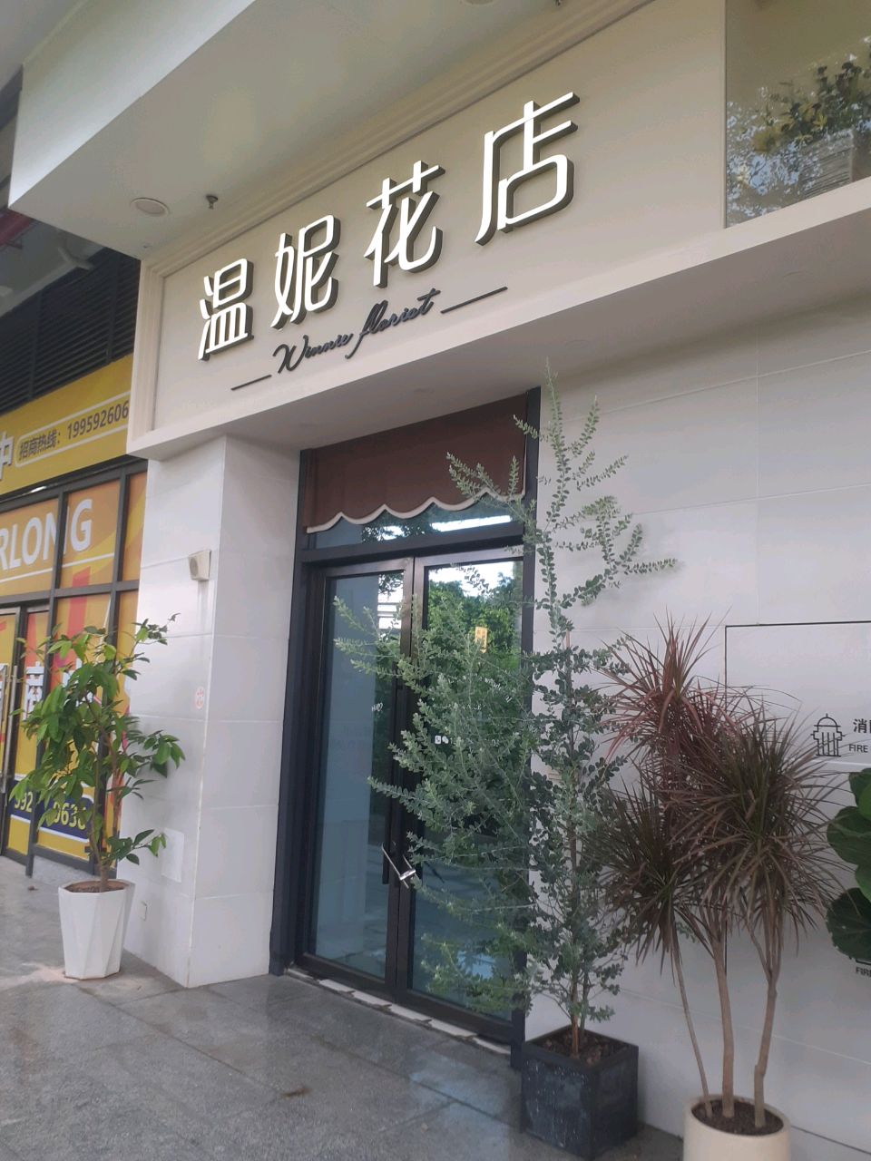 温妮花店