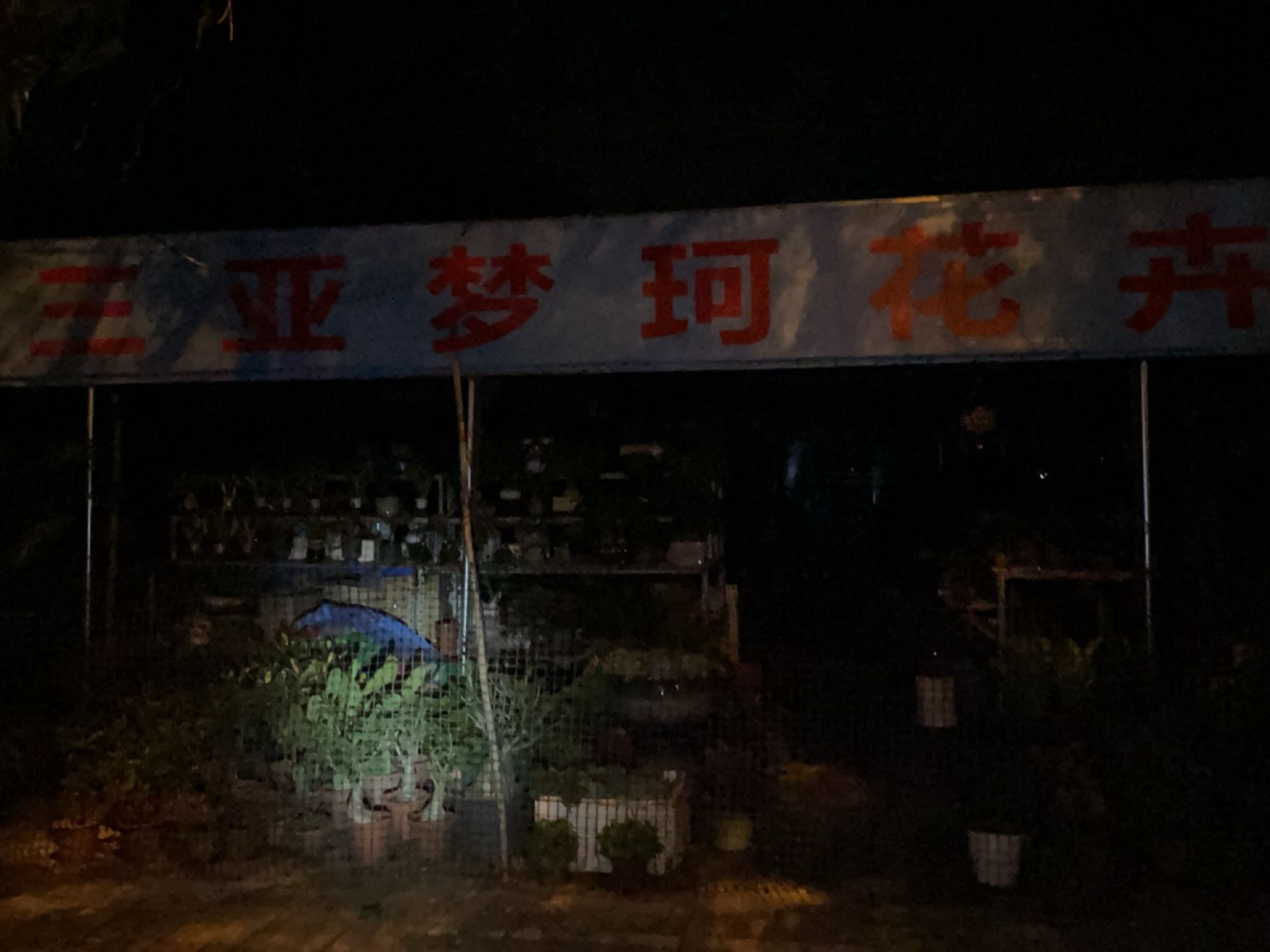 三亚梦珂花卉