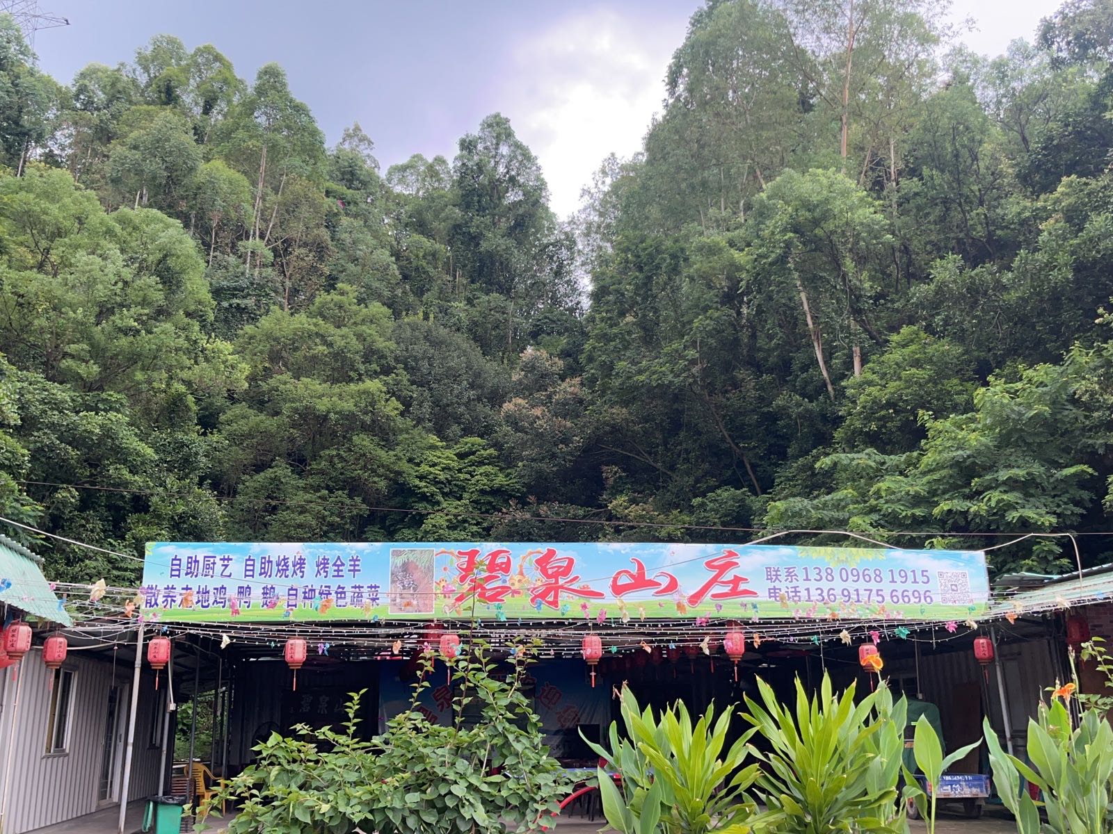 深圳市宝安区新桥街道碧泉山庄