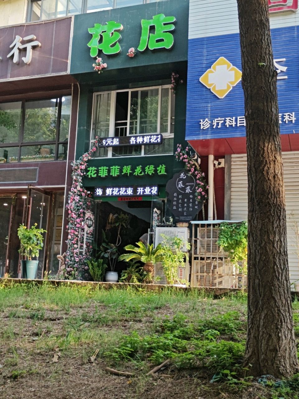 花菲菲鲜花绿植