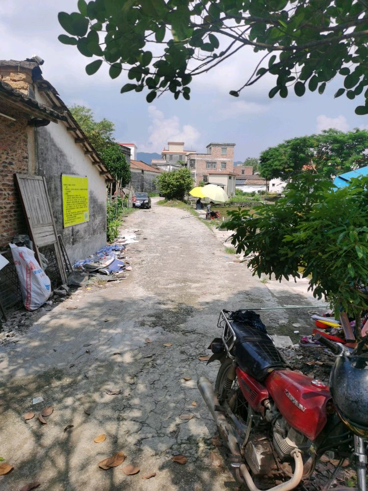 三叔钓鱼场