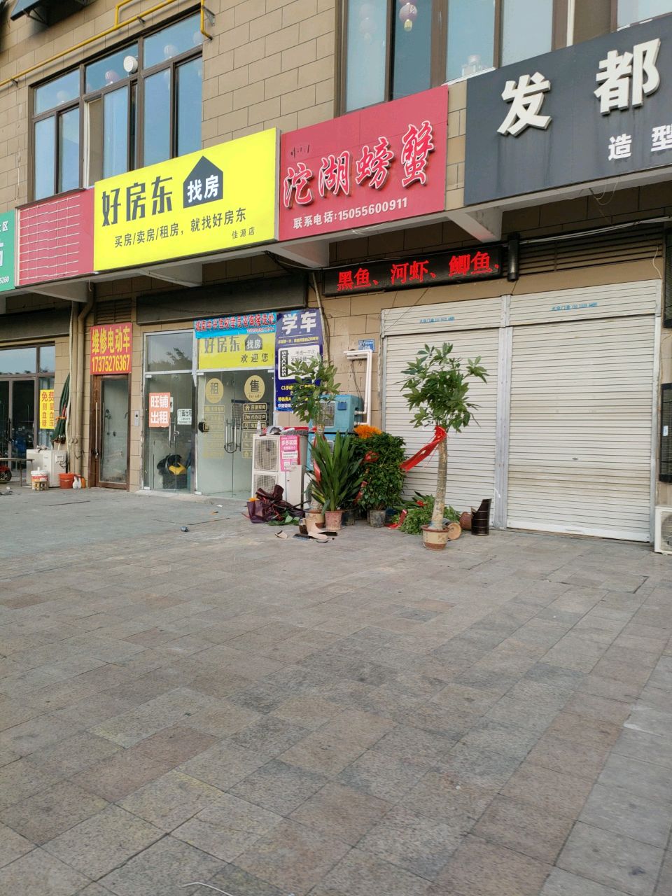 沱湖螃蟹