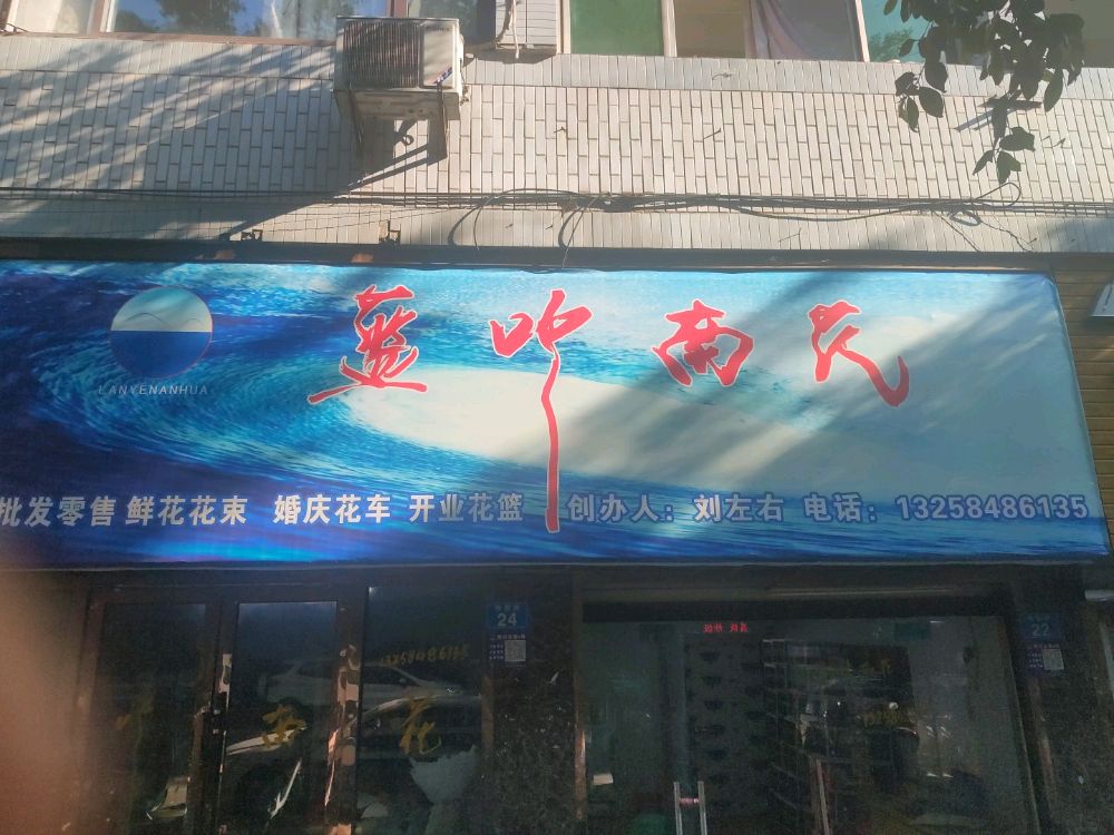 蓝叶南花