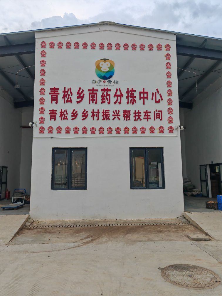 青松乡南药分拣中心