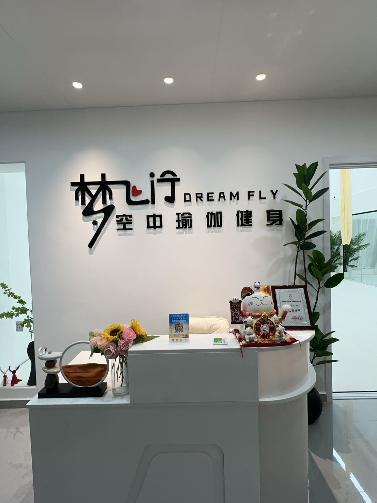 梦飞行空中瑜伽普拉提蹦极馆