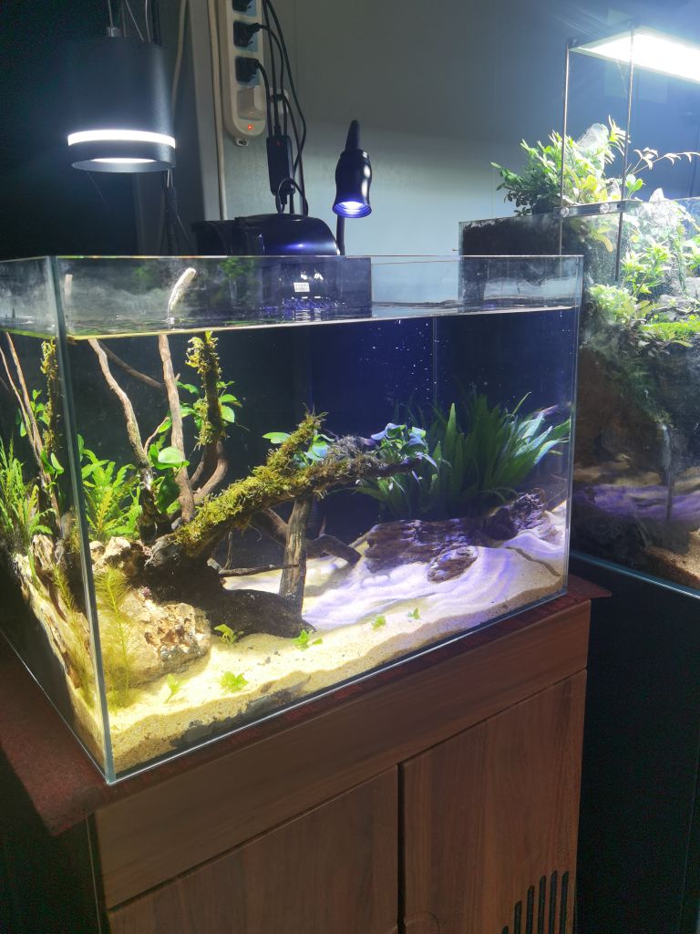植悟微景水族馆
