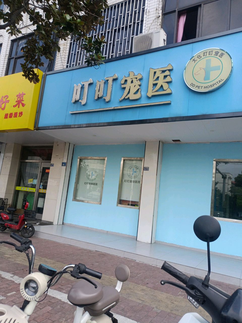 叮叮宠物店