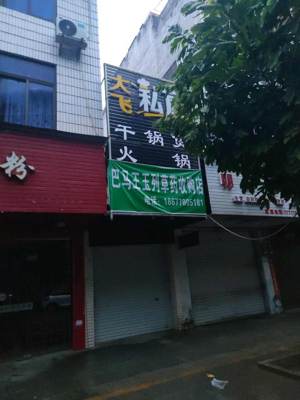 巴马王玉列草药收购店