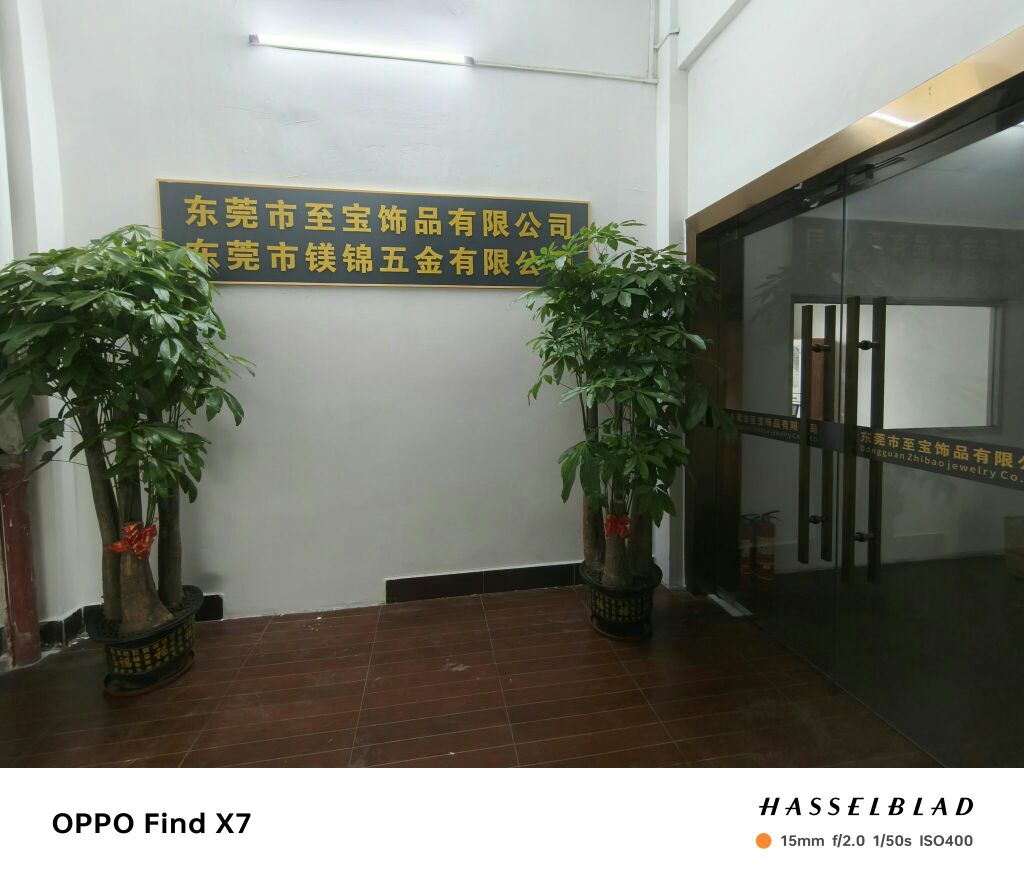东莞市至宝饰品有限公司
