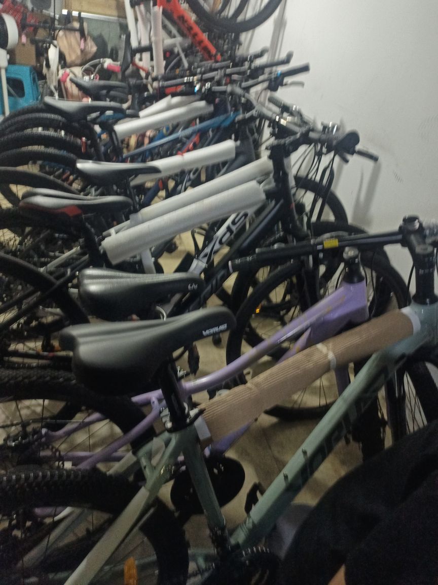 臻珍乐骑自行车车行