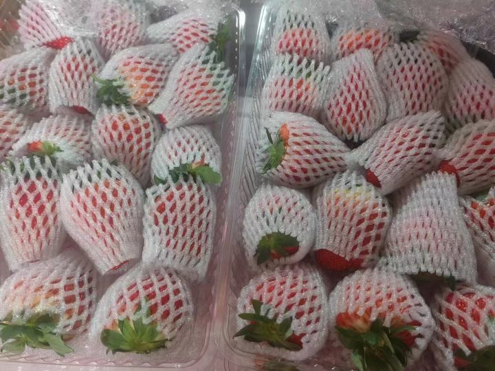 蜜青水果店