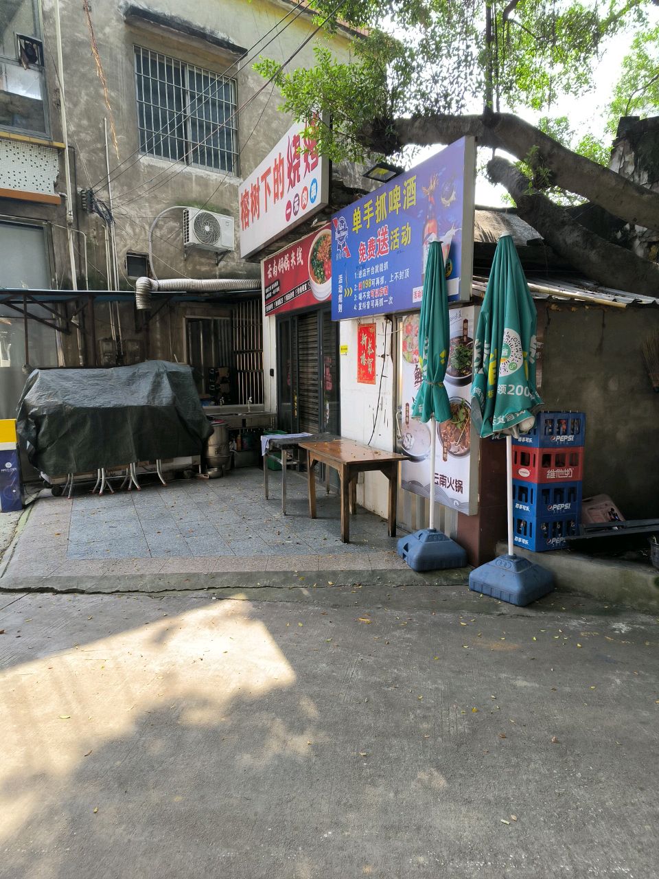 榕树下的烧烤店