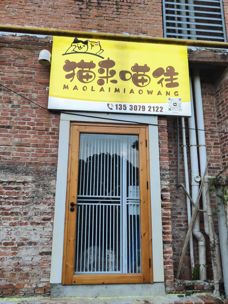 猫来喵往撸猫小院