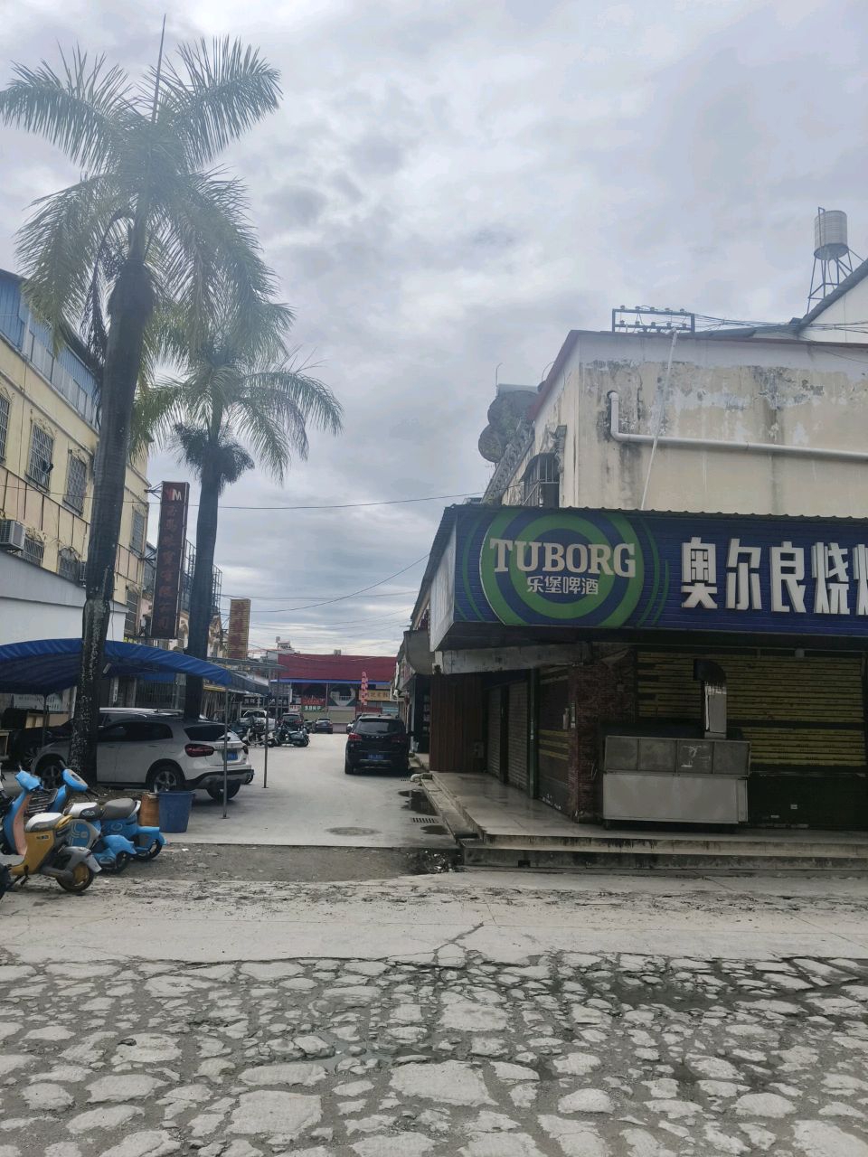 奥尔良烧烤烤鱼(姐岗路店)