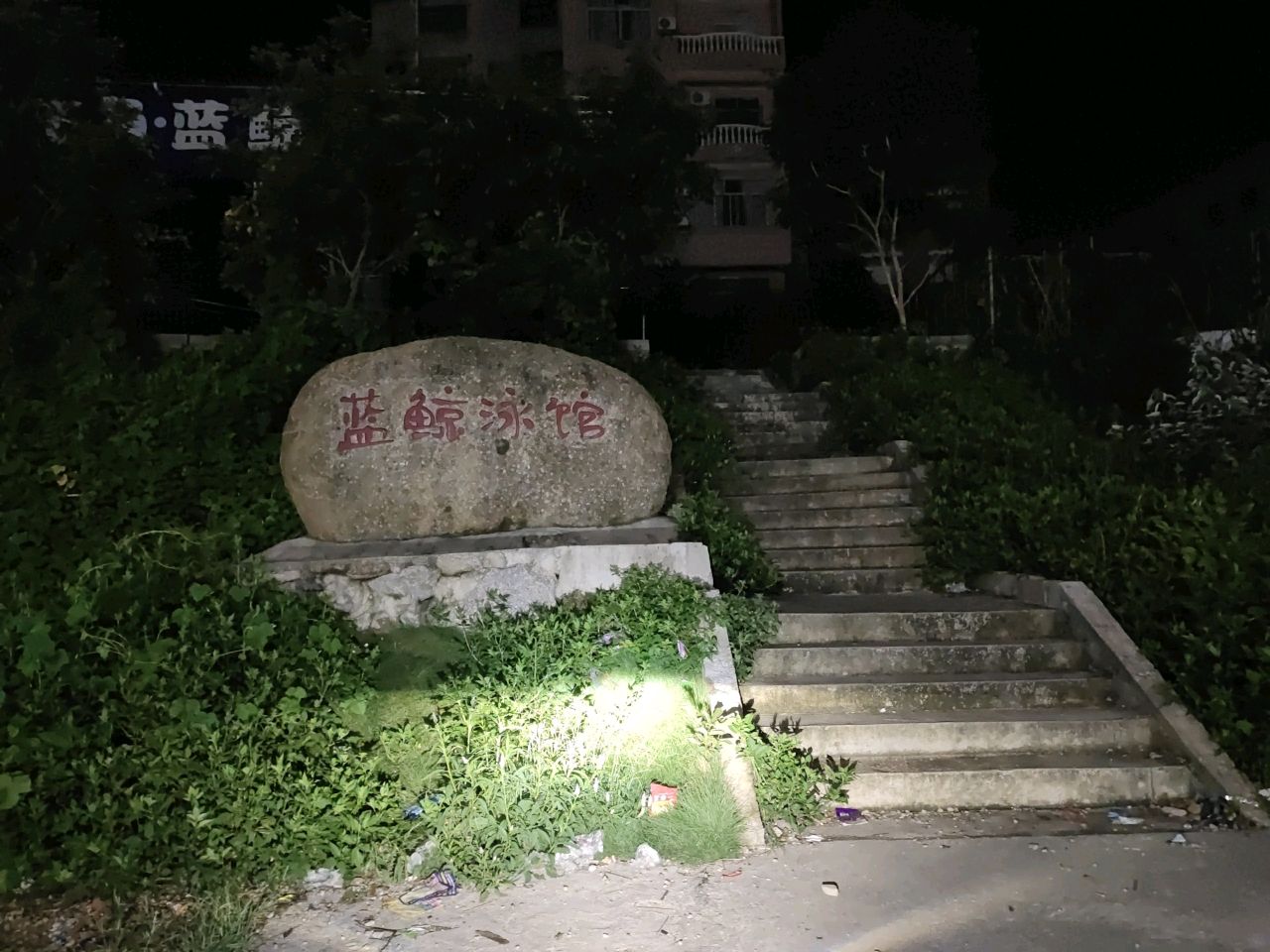 飞鱼·蓝鲸泳馆