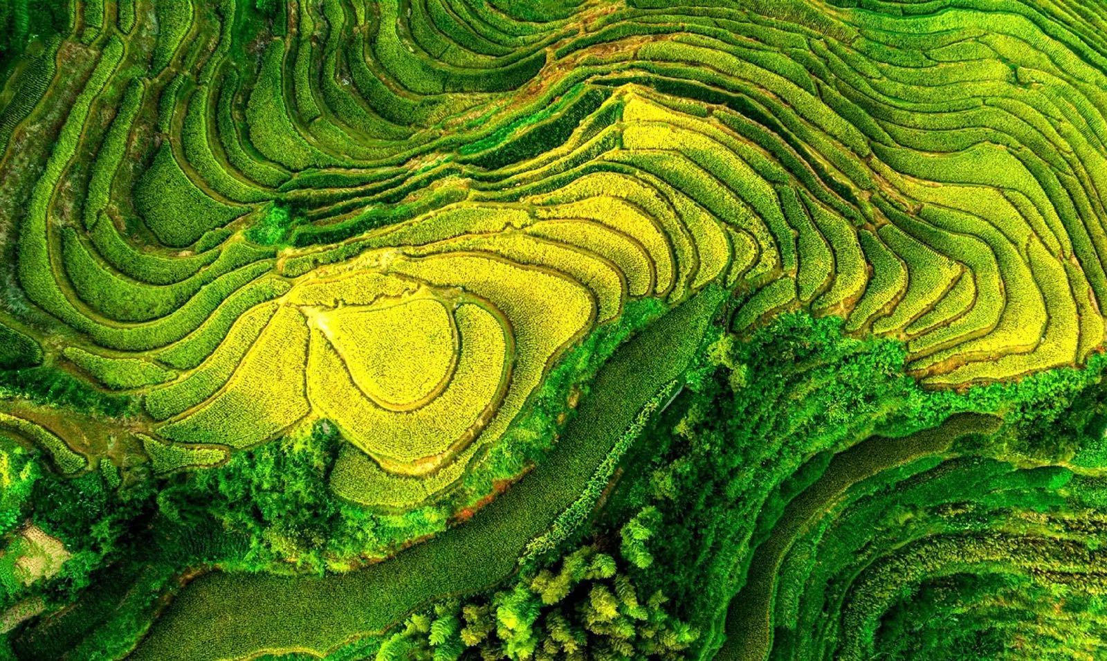 秋风根村