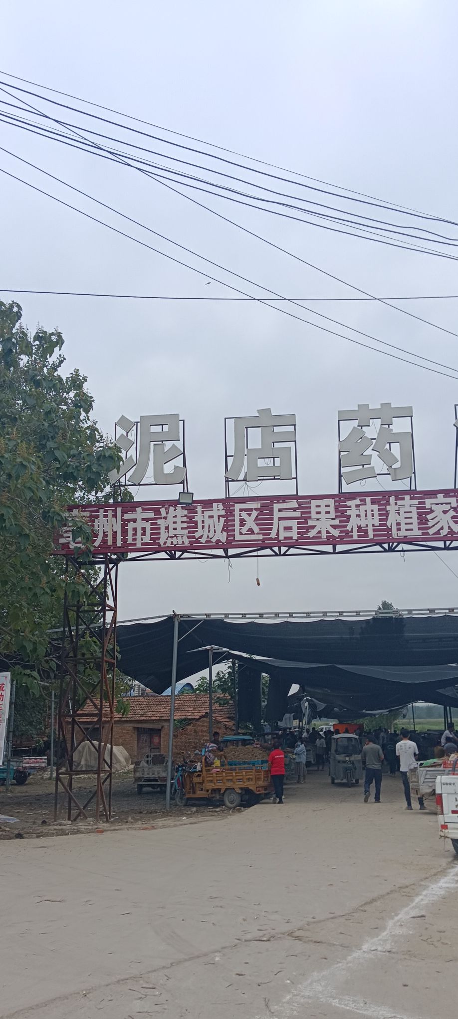 泥店药业