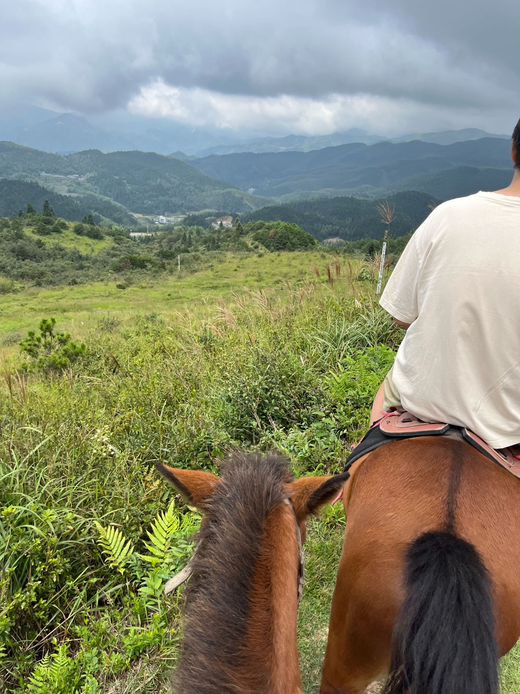 仰天湖大草原环山跑马场