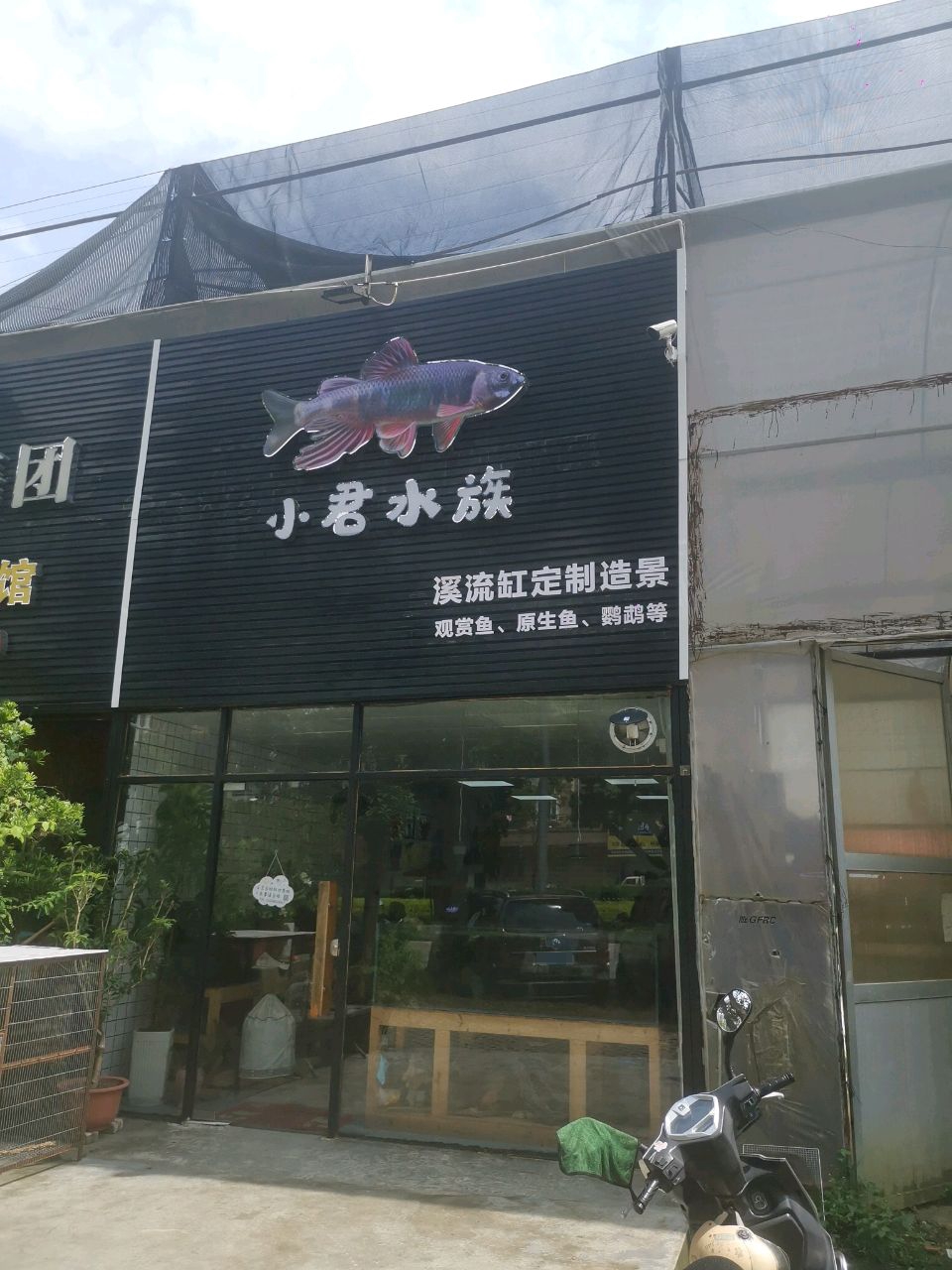 小君水族