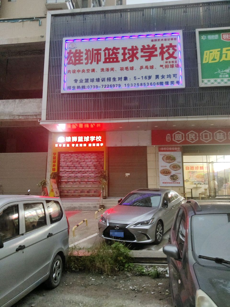雄狮篮球学校