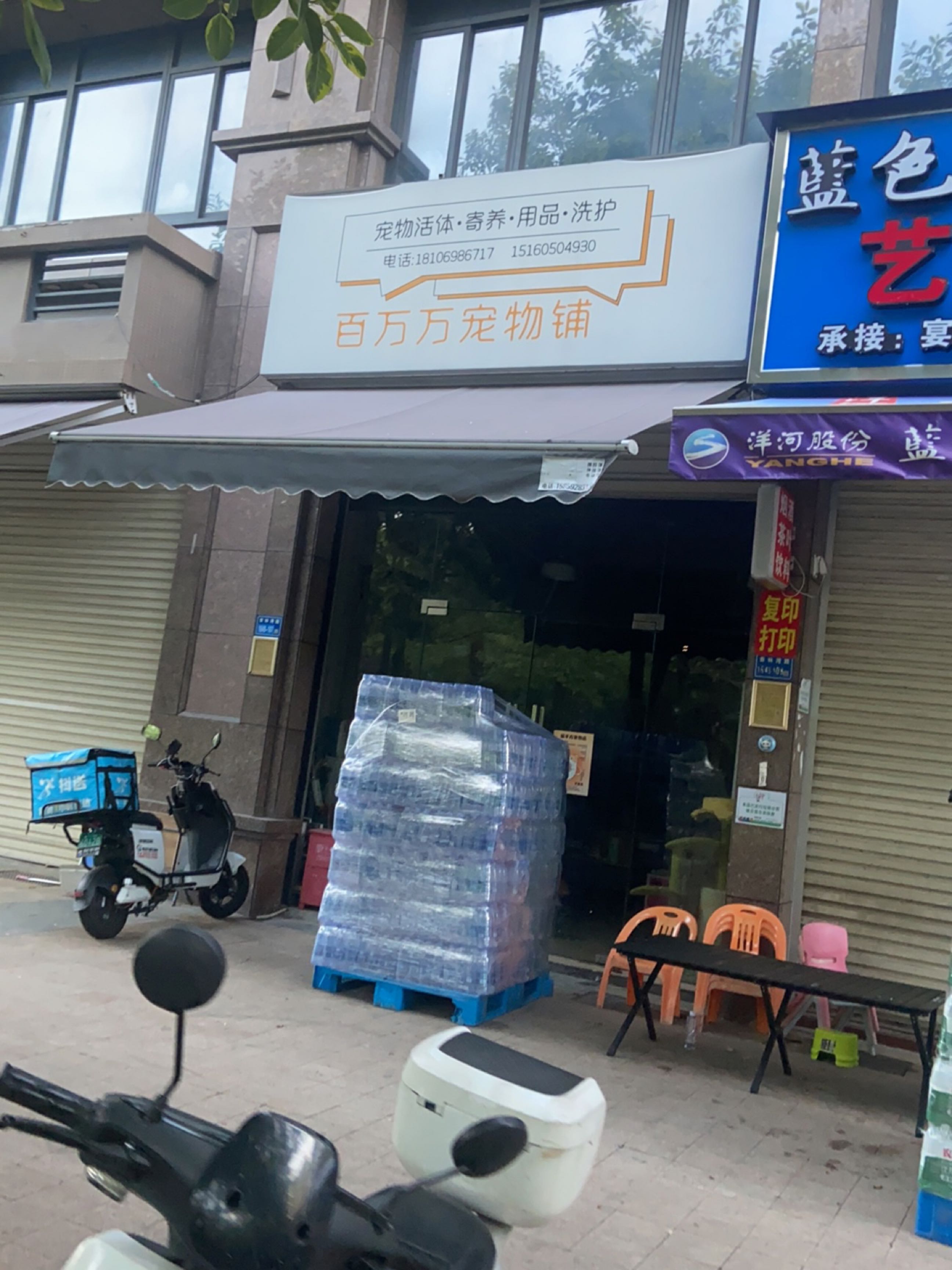 百万万宠物铺(唐荣·天润新城店)