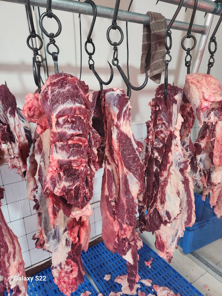 崔记牛肉店