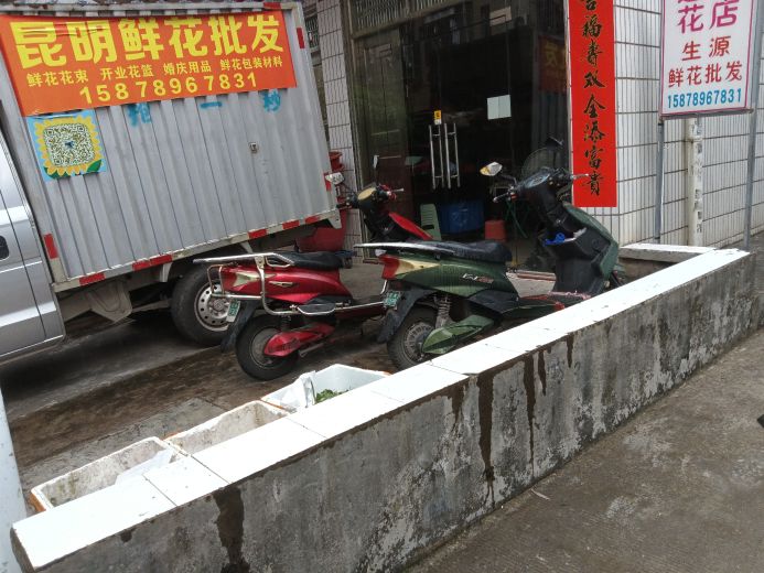 生源鲜花批发(钦州店)
