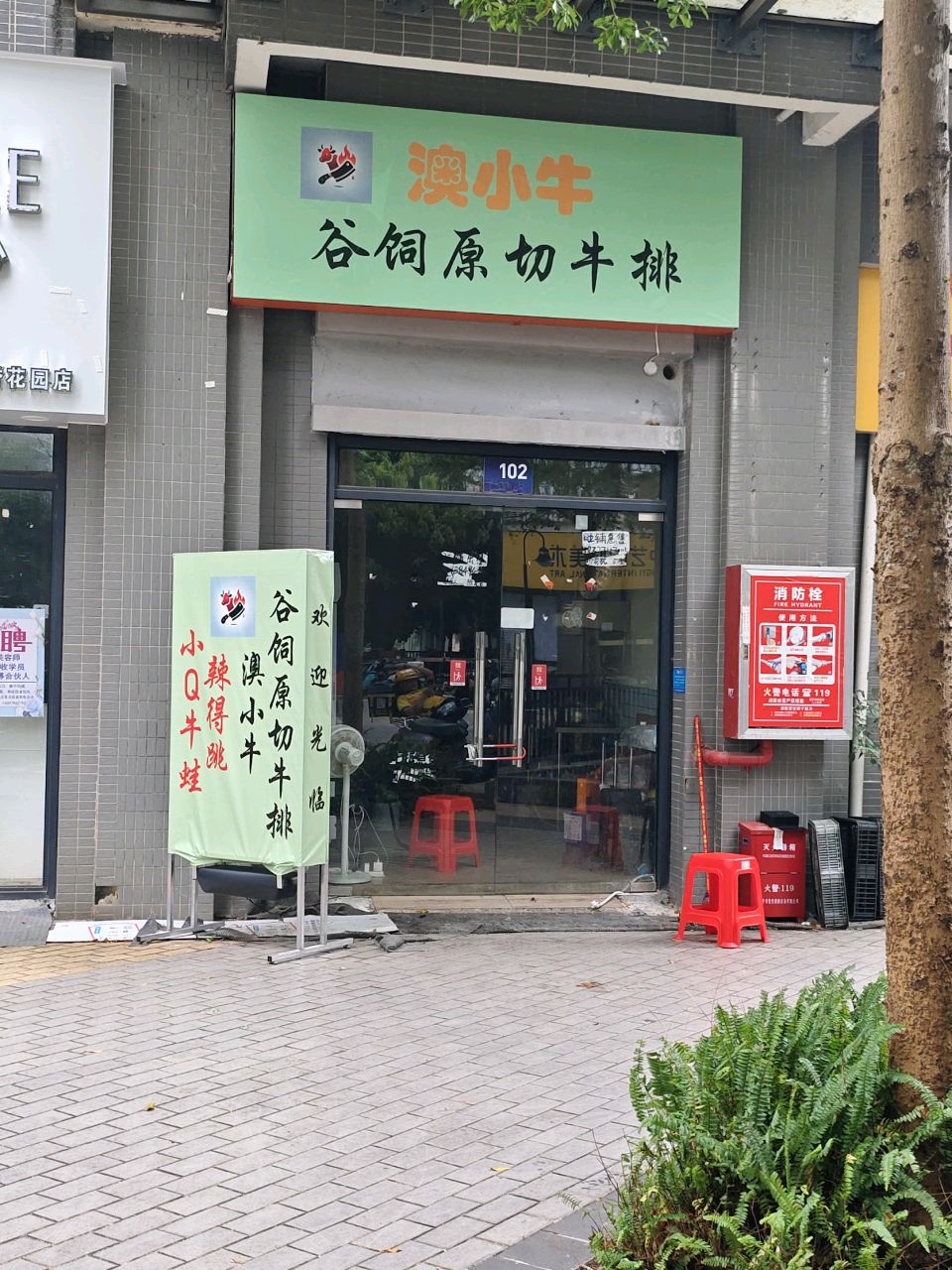 澳小牛谷饲原切牛排