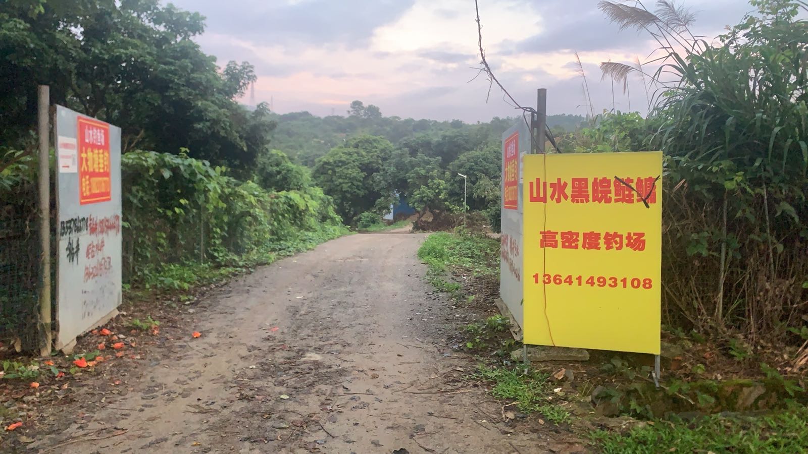 山水黑鲩钓鱼场