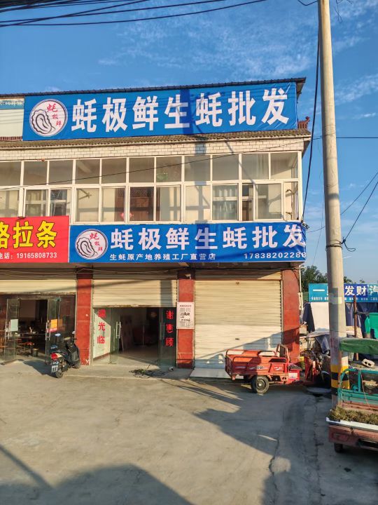 蚝极鲜生蚝批发