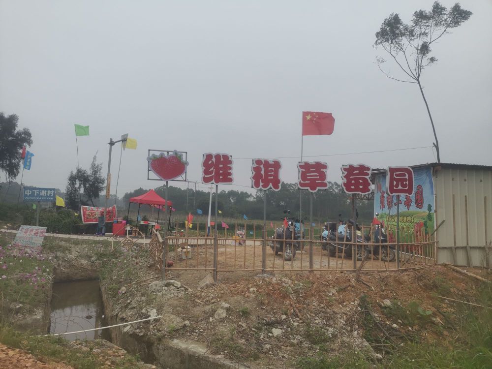 维祺草莓园