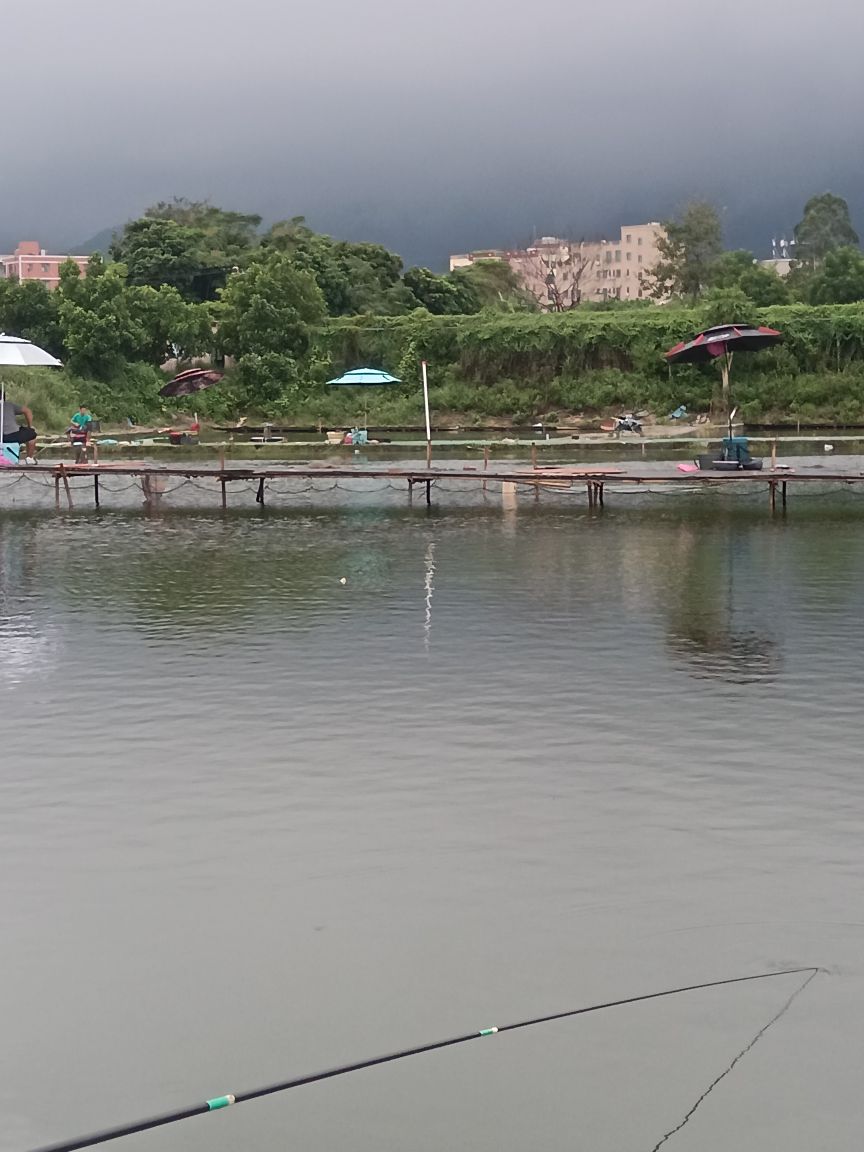 向老弯垂钓园