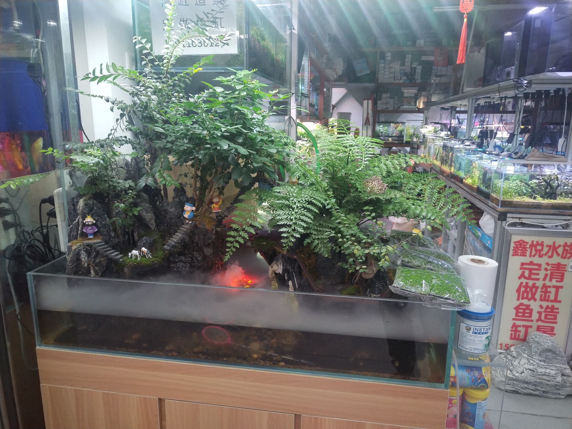 鑫悦水族花卉