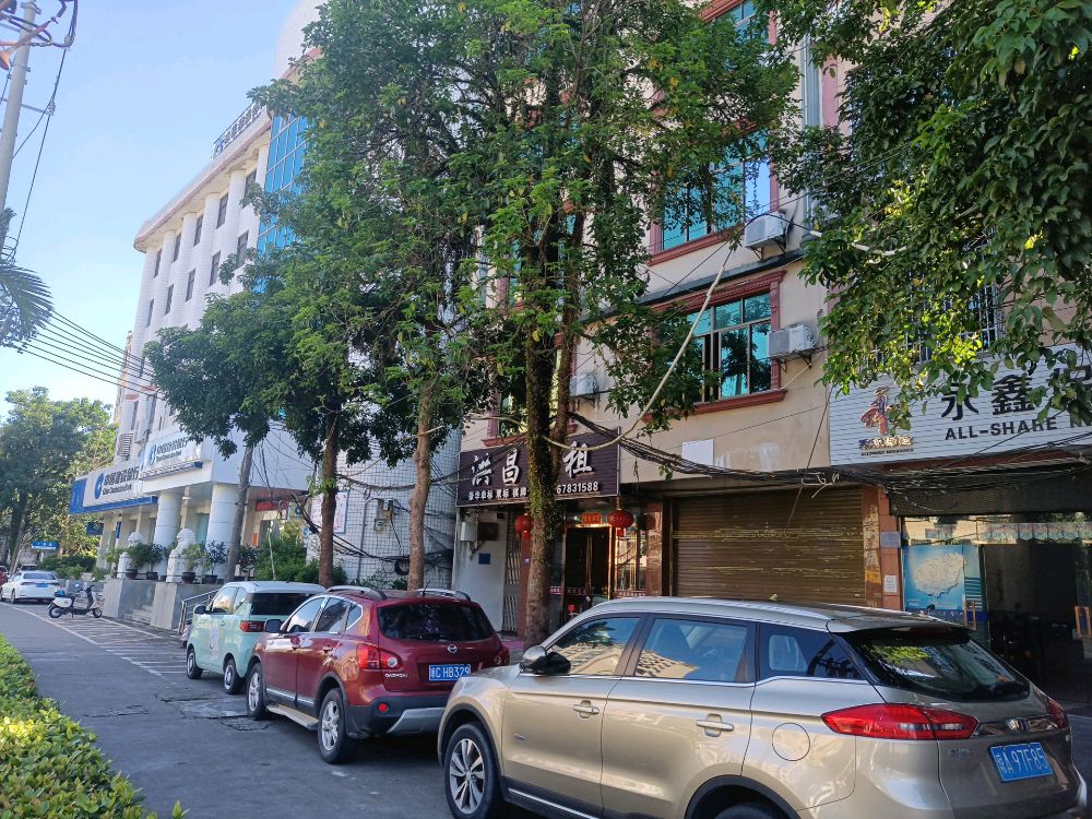 永鑫保险销售(屯昌营业部)