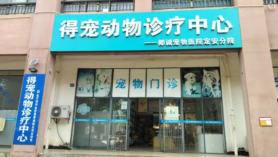 定安得宠动物诊疗中心