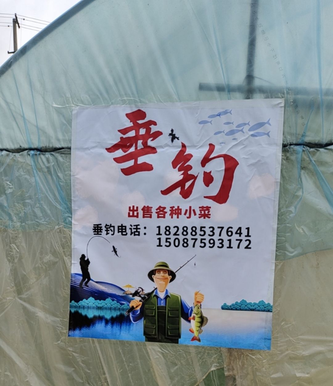 太和老塘子垂钓