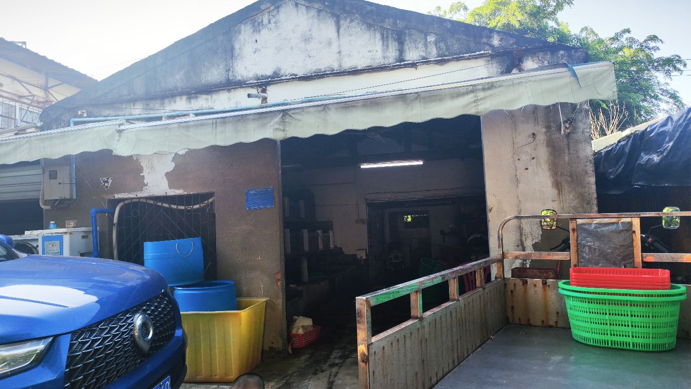 清澜三角房海鲜批发零售