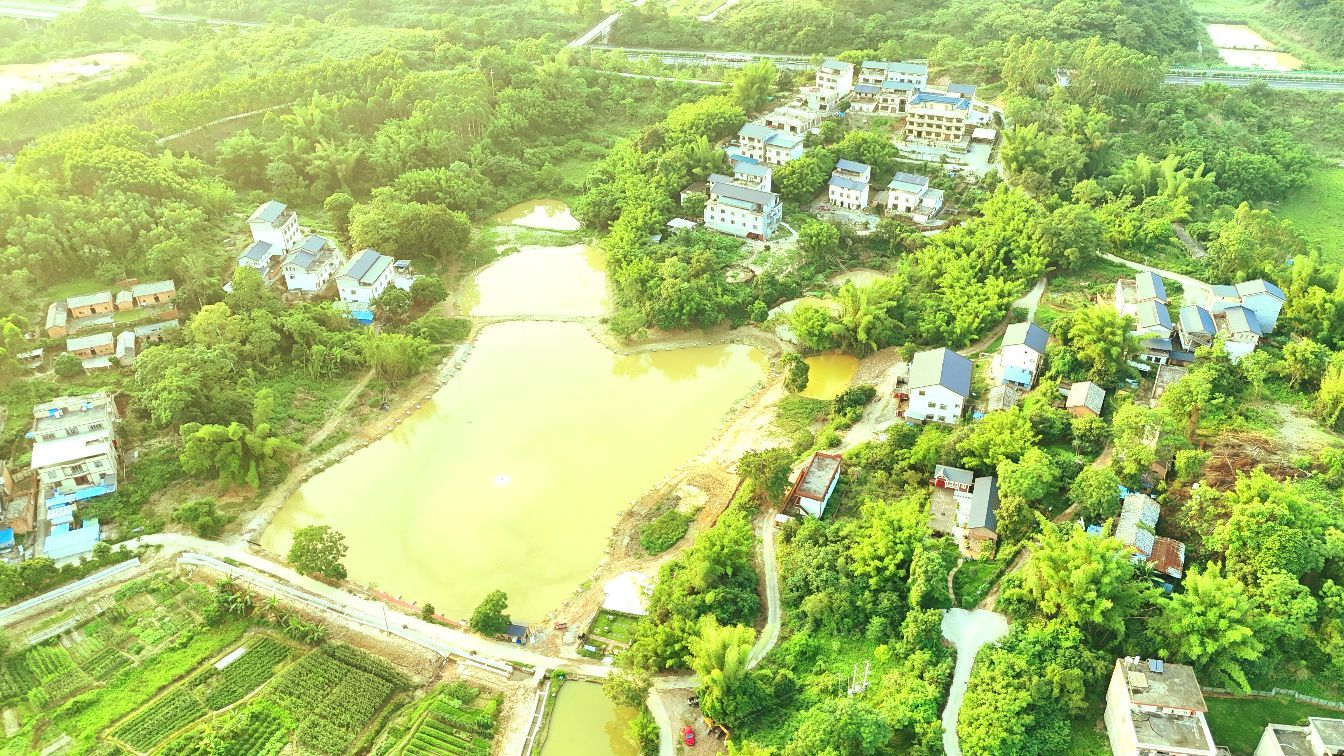 大王村渔乐钓场