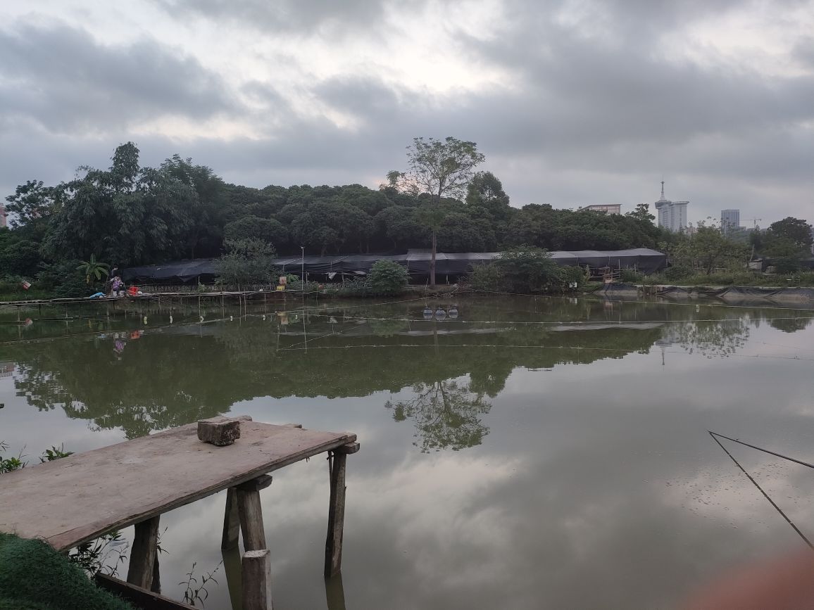 葡萄塘爆杆钓场