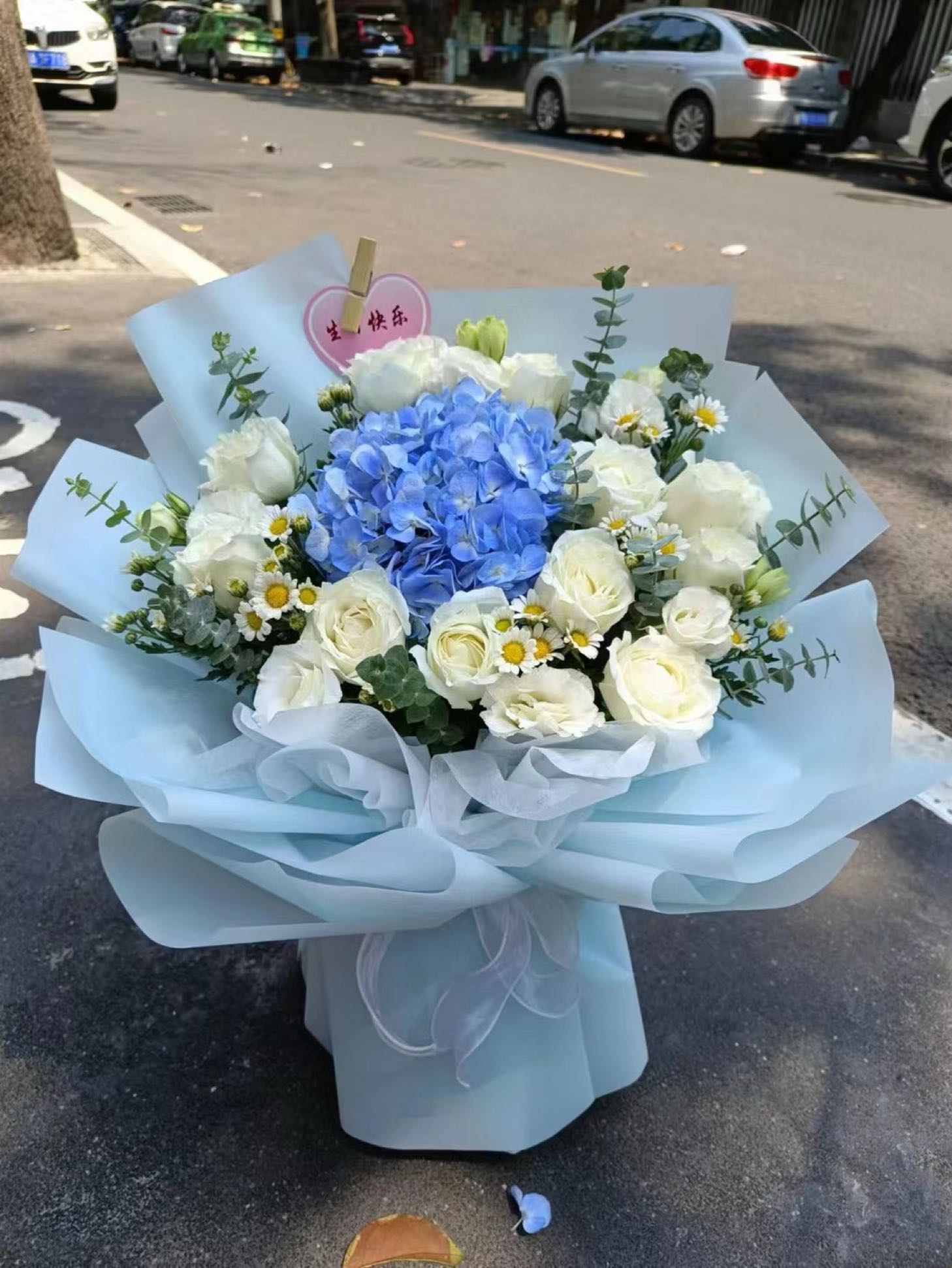 鲜花绿植水族渔具