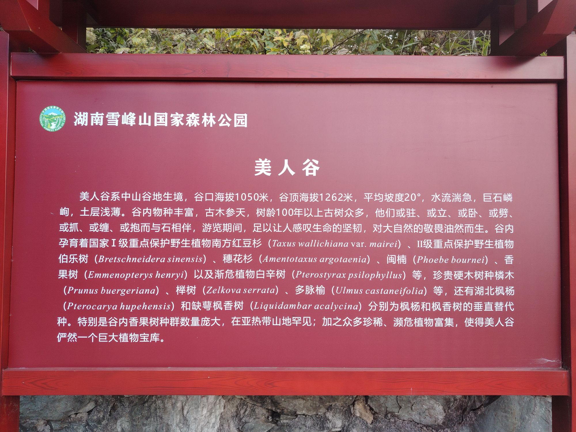 美人谷户外溯溪景观区