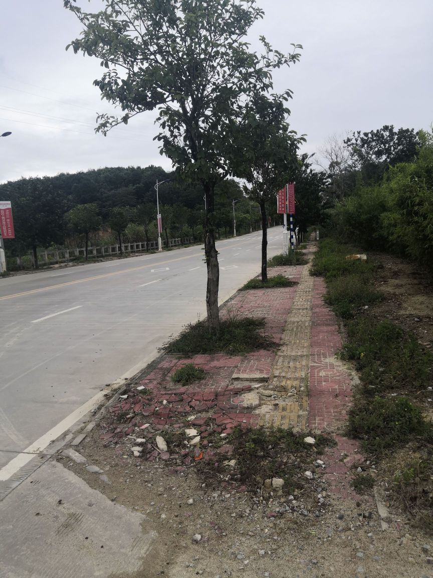 海南轨道运输车总部基地