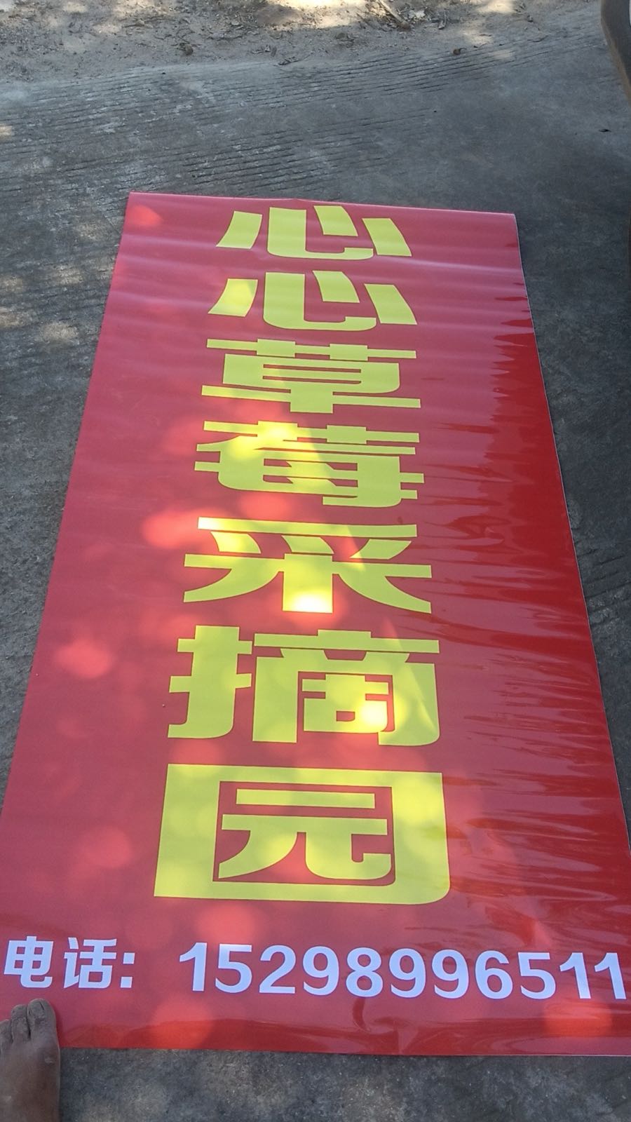 心心草莓采摘园