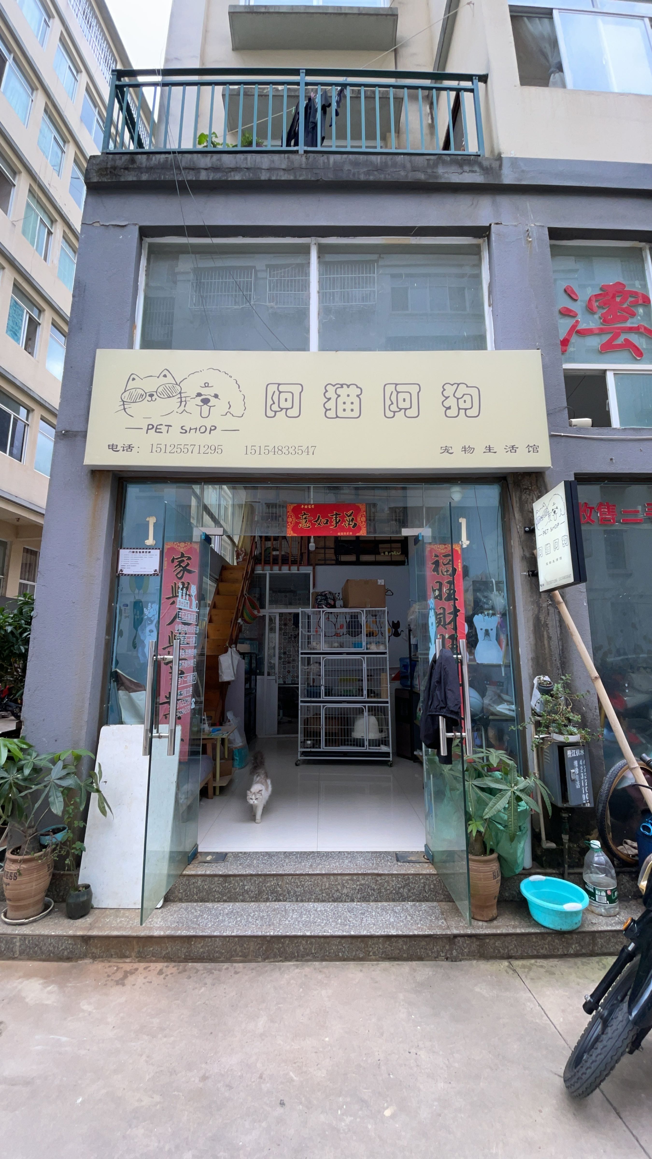 啊猫啊狗宠物用品店