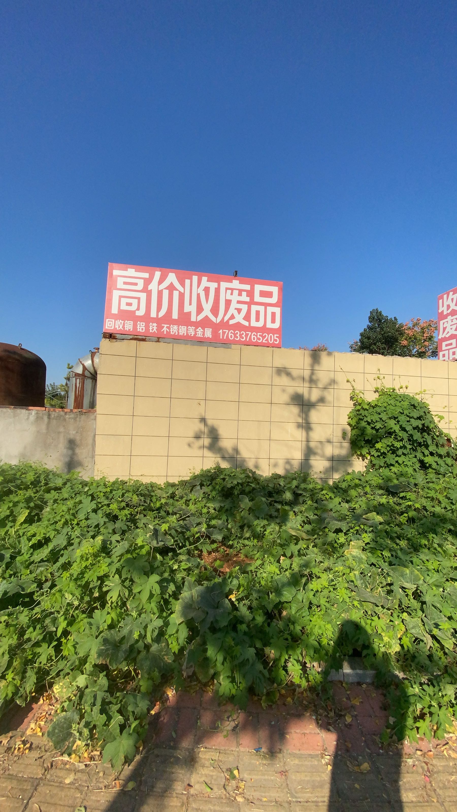 高价收废品