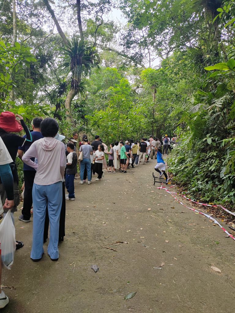 海南百花岭热带雨林文化旅游区-游客中心