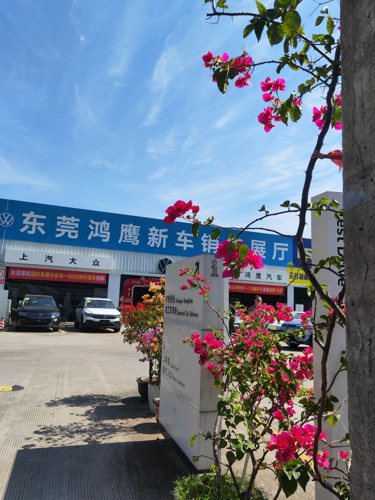 上汽大众(南城鸿鹰4S店)