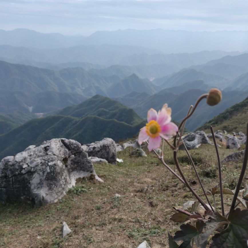 北羊山-露营地